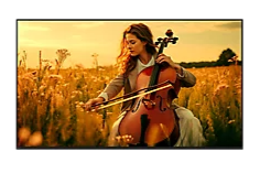 Sony K-55XR5 55" BRAVIA 5  Mini LED 4K Ultra HD HDR) Google Smart TV K55XR5B