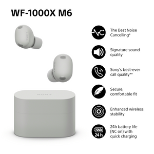 Sony WF-1000XM6s Premium Wireless Noise Cancelling Earbuds Platinum Silver WF1000XM6S